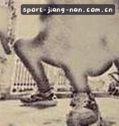 孙鹏