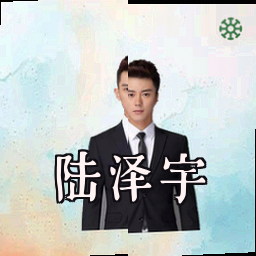 陆泽宇